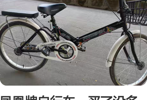 凤凰牌自行车，买了没多久就骑过几次，九成新...