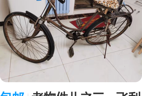包邮老物件儿之三,飞利浦26自行车,懂行的...