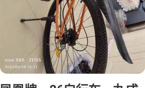 凤凰牌，26自行车，九成新，疫情之后买的，...