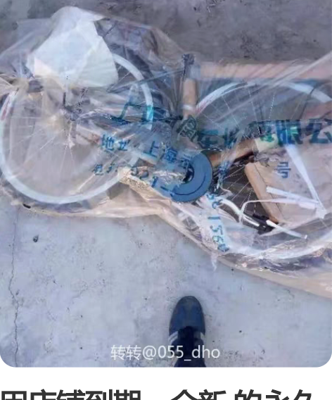 因店铺到期，全新 的永久和凤凰牌自行车处理...