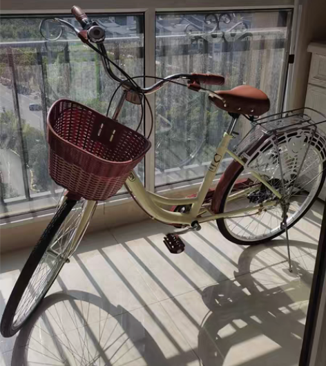 永久26寸女士自行车，顶配6档变速，全新仅...