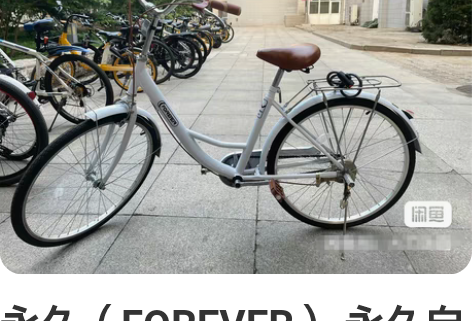 永久（FOREVER） 永久自行车女式通勤...