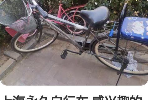 上海永久自行车 感兴趣的话点“我想要”和我...