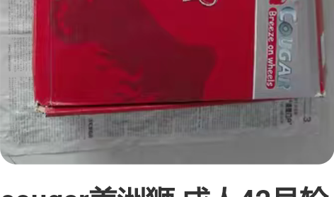 cougar美洲狮 成人42号轮滑鞋 9....