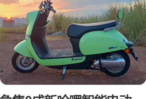 急售9成新哈啰智能电动车，由于本人即将离开...
