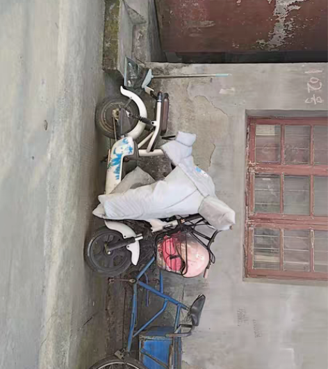 电动车过年回家用不到了，便宜处理 感兴趣的...