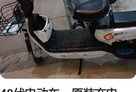 48伏电动车，原装充电器，全新电池，非人为...
