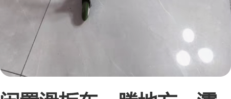 闲置滑板车，腾地方。灞桥区御锦城自提。 感...