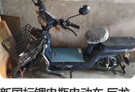 新国标锂电瓶电动车 巨龙牌载重王送外卖货架...