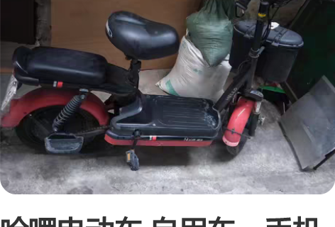 哈啰电动车 自用车,手机操作,手机定位,智...