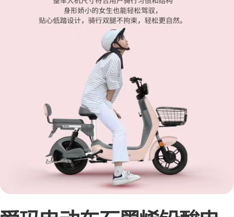 爱玛电动车石墨烯铅酸电池小熊新国标小型迷成...