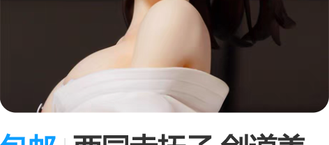 包邮西园寺抚子 剑道美少女 N社 盒装手办...