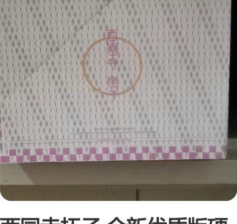 西园寺抚子 全新优质版硬体 不包不退，打包...