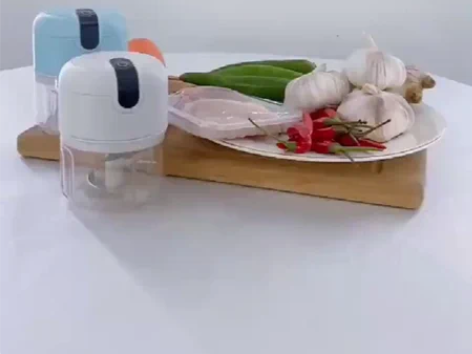 包邮【捡漏啦】美菱电动蒜蓉器搅蒜泥蒜末厨房...