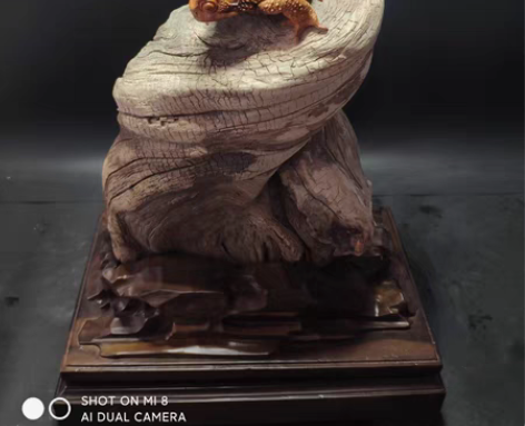 包邮十几斤黑油料，高瞻远瞩，独占鳌头，胸怀...