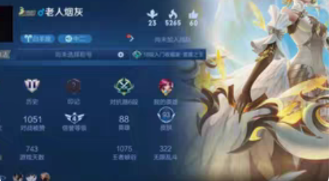 包邮93皮、伽罗炽翼辉光、孙尚香末日机甲、...