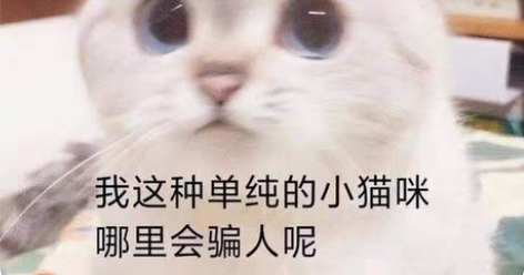 点淘，今日头条极速版，抖音极速版，快手，快...