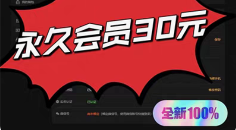 全网最低价【游戏管家】【永久会员30元】（...