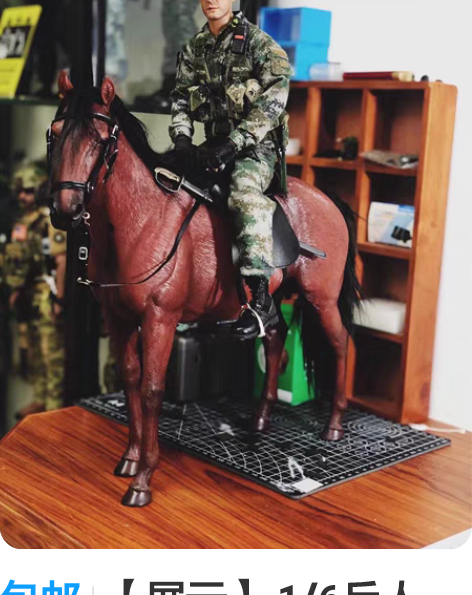 包邮【展示】 1/6兵人 dam78062...