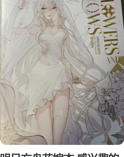 【出】明日方舟 安洁莉娜 斗争血脉 闪粉挂...