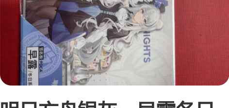 明日方舟银灰、早露冬日系列色纸，全新无伤，...