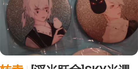 转卖[浮光跃金]SKY光遇周边挂件龙骨雨林...