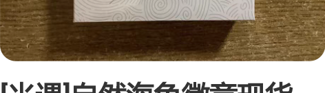 [光遇]自然海龟徽章现货 带NFC 徽章功...