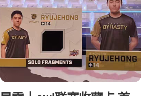 暴雪｜owl联赛收藏卡 首尔王朝队 ryu...