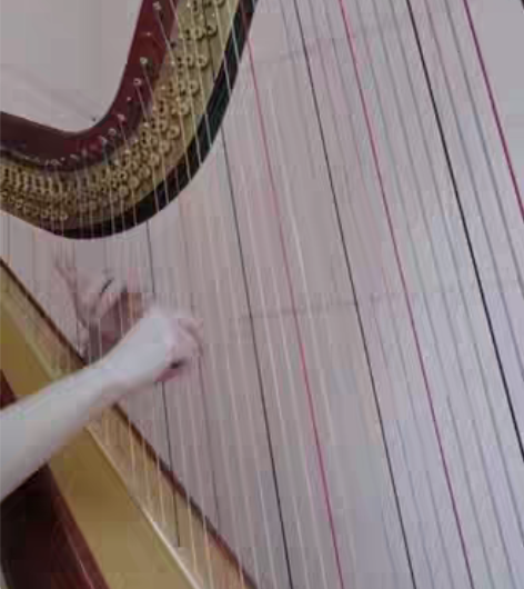 包邮北京竖琴老师，可教学，可商演，也售琴，...