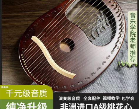转卖[转卖]小竖琴19弦21音莱雅琴箜篌小...