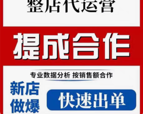 包邮淘宝天猫代运营 多多运营个人运营网店托...