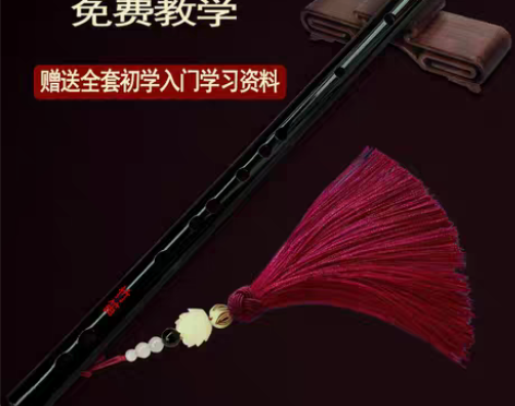 转卖笛子初学者精制黑色笛古风竹笛自学乐器入...