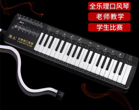 转卖国光全乐理口风琴37键小学生专用专业演...