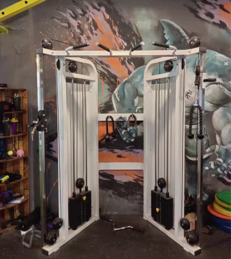 低价出售个人二手健身器械，史密斯，哈克机，...