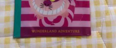 防疫收纳包 感兴趣的话点“我想要”和我私聊...