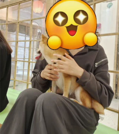 转卖深灰色拖地宽松！布町Studio+欧美...