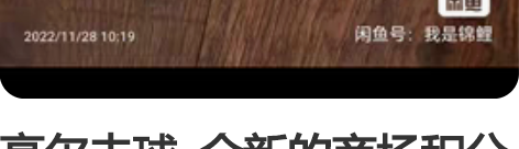 高尔夫球  全新的商场积分换的  一共20...