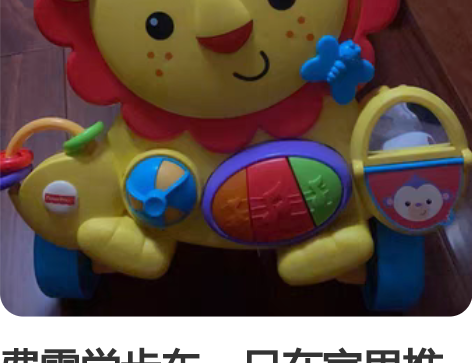 费雪学步车，只在家里推过，功能都完好无损，...