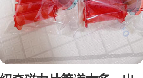 纽奇磁力片管道太多，出一包或两包，15一包...