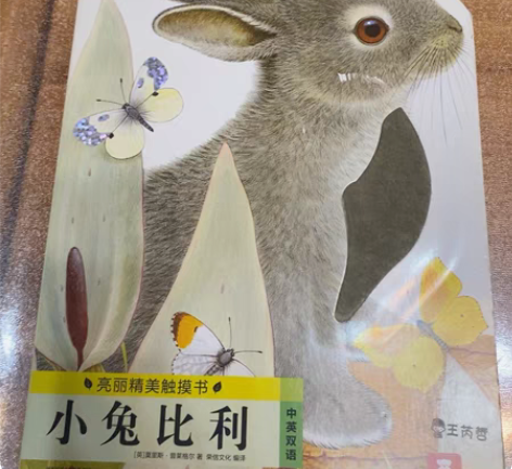 《小兔比利》触摸书，几乎全新 不包邮，最好...