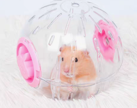 转卖宠尚天仓鼠玩具跑球跑轮滚轮运动球支架金...