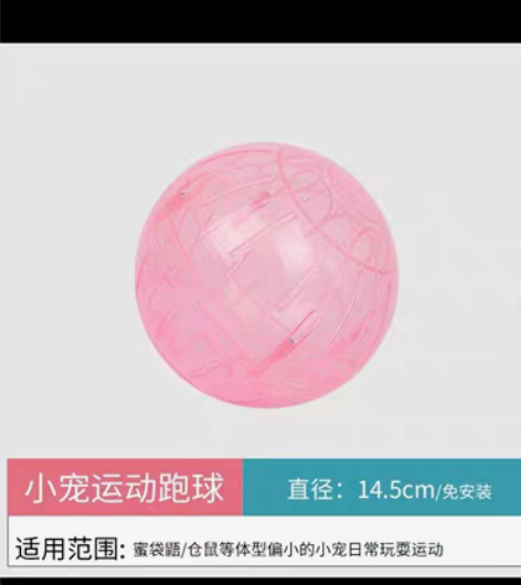 蜜袋鼯跑球仓鼠蜜袋鼬松鼠龙猫土拨鼠刺猬滚球...