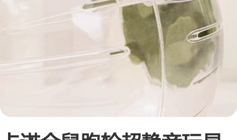 卡诺仓鼠跑轮超静音玩具跑球滚轮运动球支架金...