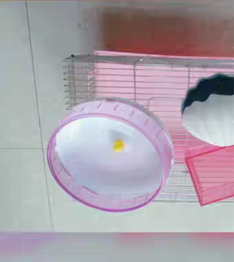 退圈出 仅自提~坐标宁波海曙区古林镇镇府旁...