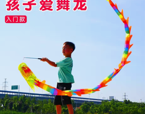 转卖健身甩龙舞龙彩带儿童成人舞飘带空竹舞龙...