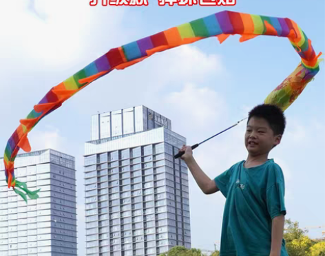 转卖甩龙空竹龙彩龙儿童舞龙彩带舞健身龙带道...