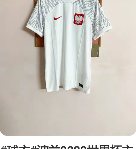 #球衣#波兰2022世界杯主场球员版球衣 ...