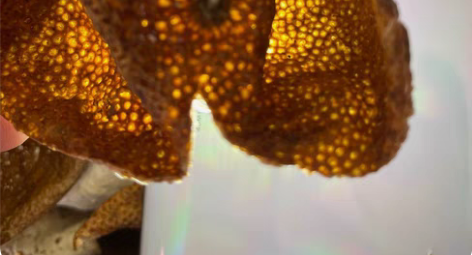 包邮农人出售2020年一线天马新会陈皮 一...