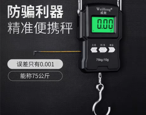转卖高精度手提电子秤家用弹簧小型便携式迷你...