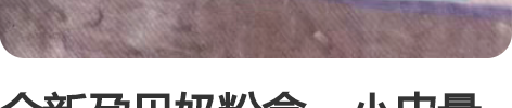 全新孕贝奶粉盒,小皮量勺及密封夹,304不...
